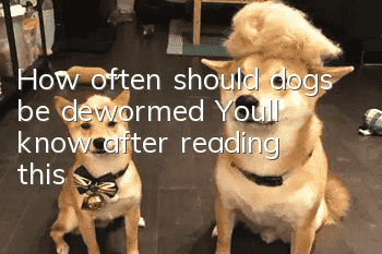 How often should dogs be dewormed? You’ll know after reading this