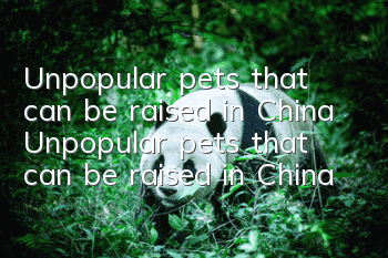 Unpopular pets that can be raised in China Unpopular pets that can be raised in China