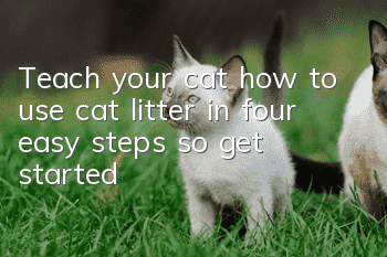 Teach your cat how to use cat litter in four easy steps, so get started!