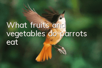 What fruits and vegetables do parrots eat?