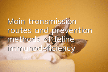 Main transmission routes and prevention methods of feline immunodeficiency