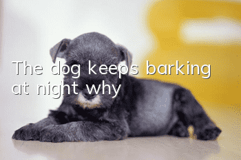 The dog keeps barking at night, why?