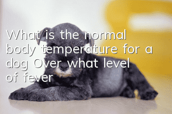 What is the normal body temperature for a dog? Over what level of fever?