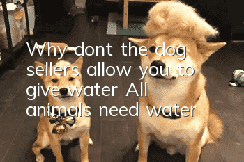 Why don’t the dog sellers allow you to give water? All animals need water!