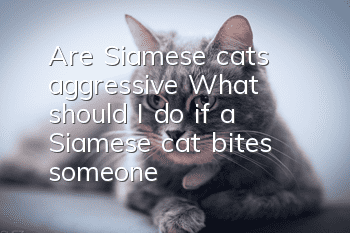 Are Siamese cats aggressive? What should I do if a Siamese cat bites someone?