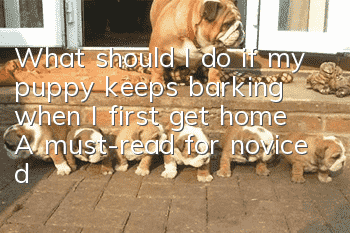 What should I do if my puppy keeps barking when I first get home? A must-read for novice dog trainers!