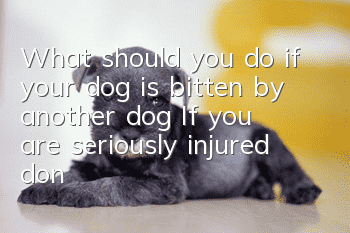 What should you do if your dog is bitten by another dog? If you are seriously injured, don’t move!