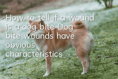 How to tell if a wound is a dog bite? Dog bite wounds have obvious characteristics!