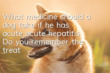 What medicine should a dog take if he has acute acute hepatitis? Do you remember the treatment of acute hepatitis?