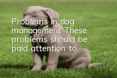 Problems in dog management These problems should be paid attention to!