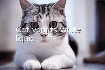 Cat vomits white liquid