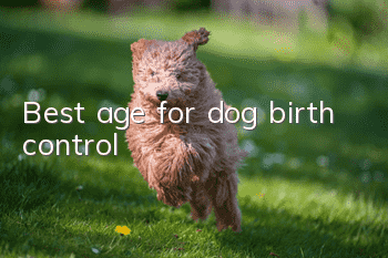 Best age for dog birth control