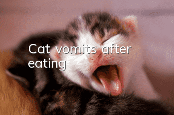 Cat vomits after eating