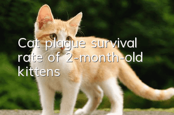 Cat plague survival rate of 2-month-old kittens