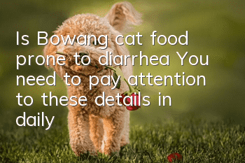 Is Bowang cat food prone to diarrhea? You need to pay attention to these details in daily feeding