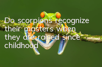 Do scorpions recognize their masters when they are raised since childhood?