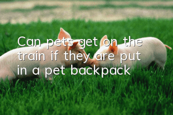 Can pets get on the train if they are put in a pet backpack?