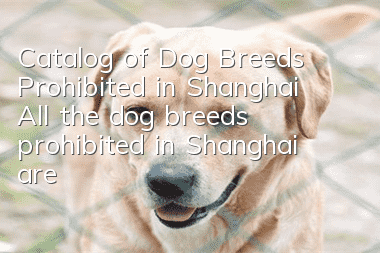 Catalog of Dog Breeds Prohibited in Shanghai All the dog breeds prohibited in Shanghai are listed here!