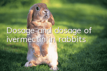 Dosage and dosage of ivermectin in rabbits