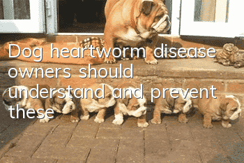 Dog heartworm disease owners should understand and prevent these