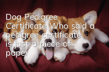 Dog Pedigree Certificate Who said a pedigree certificate is just a piece of paper?