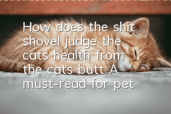 How does the shit shovel judge the cat’s health from the cat’s butt? A must-read for pet owners!