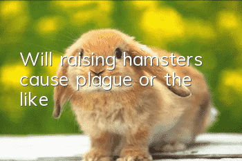 Will raising hamsters cause plague or the like?