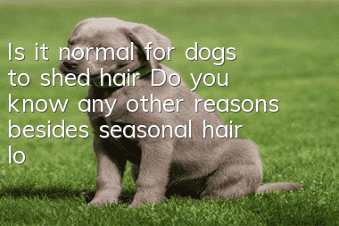 Is it normal for dogs to shed hair? Do you know any other reasons besides seasonal hair loss?