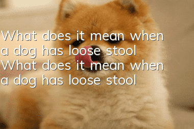 What does it mean when a dog has loose stool? What does it mean when a dog has loose stool? Pay attention to it when a dog has loose stool.