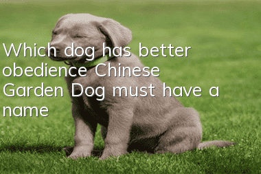 Which dog has better obedience? Chinese Garden Dog must have a name