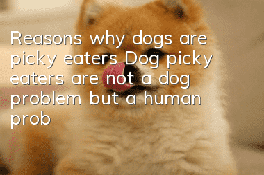 Reasons why dogs are picky eaters Dog picky eaters are not a dog problem, but a human problem