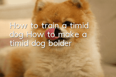 How to train a timid dog How to make a timid dog bolder