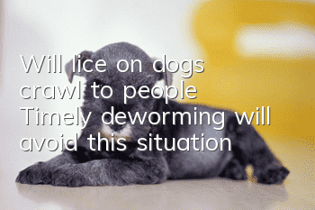 Will lice on dogs crawl to people? Timely deworming will avoid this situation