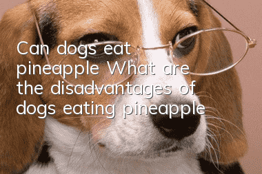 Can dogs eat pineapple? What are the disadvantages of dogs eating pineapple?