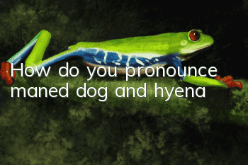 How do you pronounce maned dog and hyena?