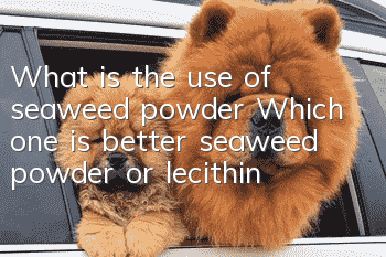 What is the use of seaweed powder? Which one is better, seaweed powder or lecithin?