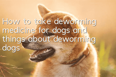 How to take deworming medicine for dogs and things about deworming dogs