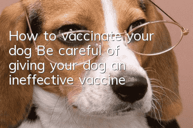 How to vaccinate your dog? Be careful of giving your dog an ineffective vaccine!