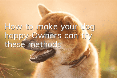 How to make your dog happy? Owners can try these methods