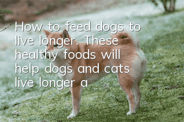 How to feed dogs to live longer. These healthy foods will help dogs and cats live longer and healthier