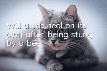 Will a cat heal on its own after being stung by a bee?