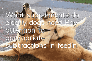 What supplements do elderly dogs need? Pay attention to appropriate subtractions in feeding