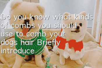 Do you know what kinds of combs you should use to comb your dog’s hair? Briefly introduce three types of combs