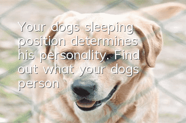 Your dog’s sleeping position determines his personality. Find out what your dog’s personality is like.