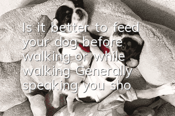 Is it better to feed your dog before walking or while walking? Generally speaking, you should eat first and then walk your dog!