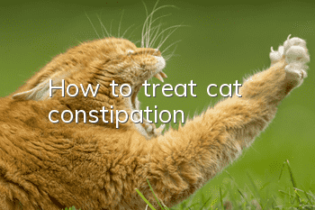 How to treat cat constipation?