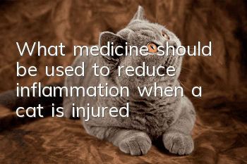 What medicine should be used to reduce inflammation when a cat is injured?