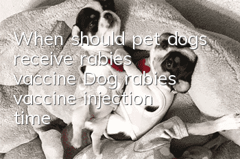 When should pet dogs receive rabies vaccine? Dog rabies vaccine injection time!