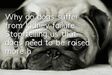 Why do dogs suffer from kidney failure? Stop telling us that dogs need to be raised more harshly!