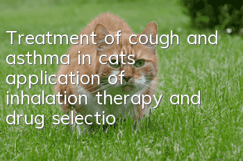 Treatment of cough and asthma in cats, application of inhalation therapy and drug selection!